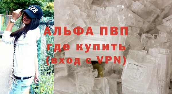 PSILOCYBIN Переславль-Залесский